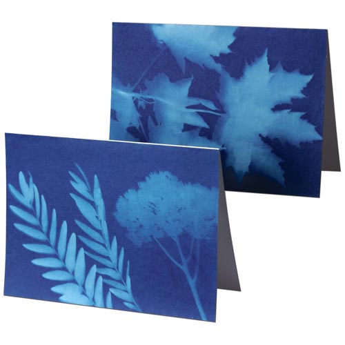 NaturePrint Paper Note Cards - Project #13