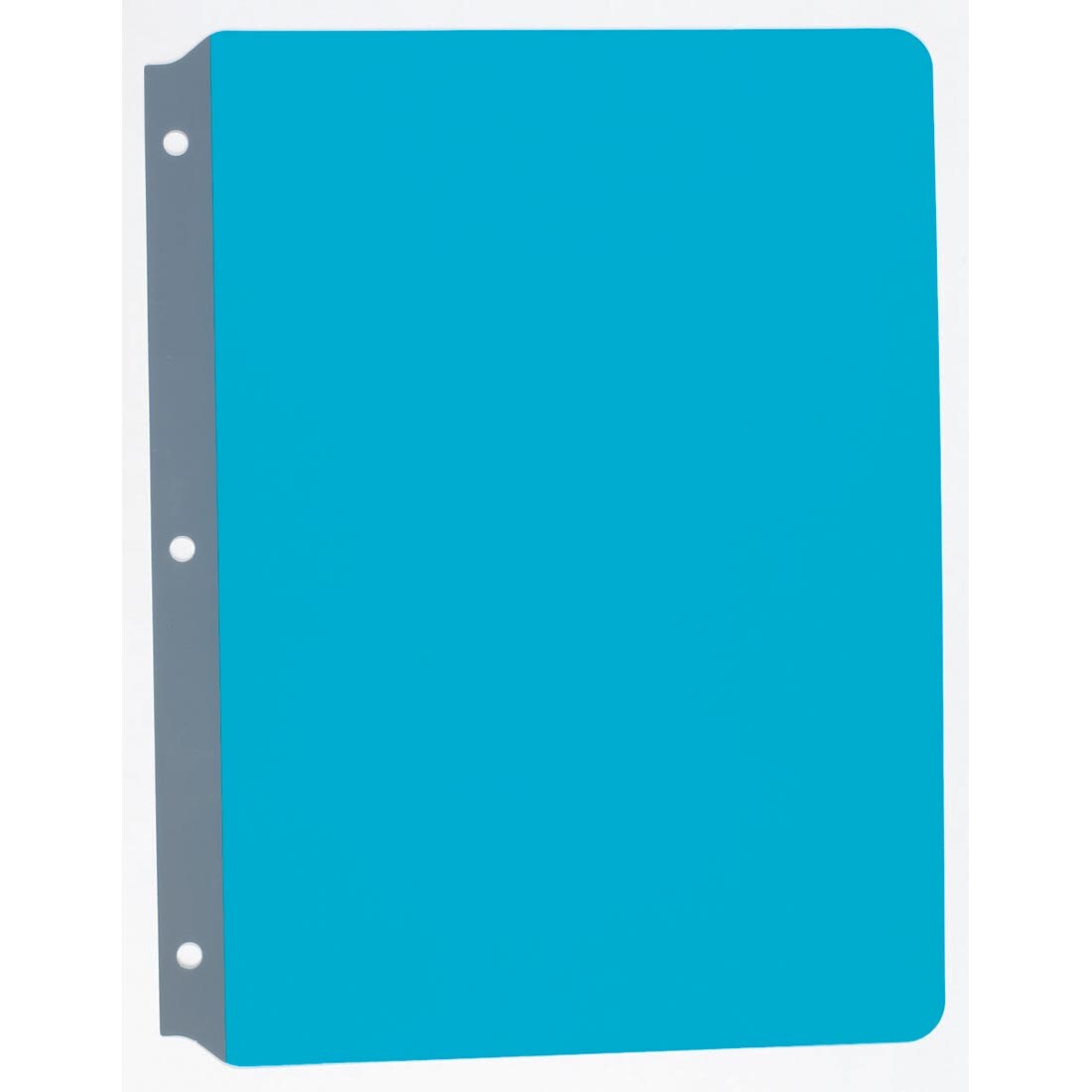 transparent blue Full Page Reading Guide hole-punched for 3-ring binder