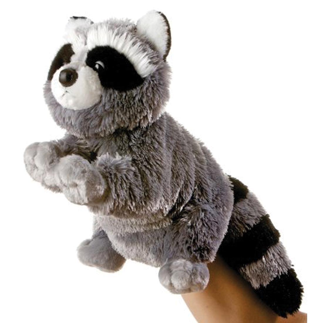 raccoon puppet