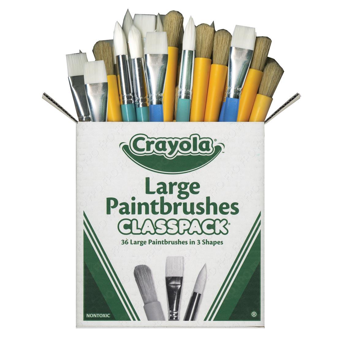 Crayola Large Paintbrushes Classpack box open with brushes showing at the top