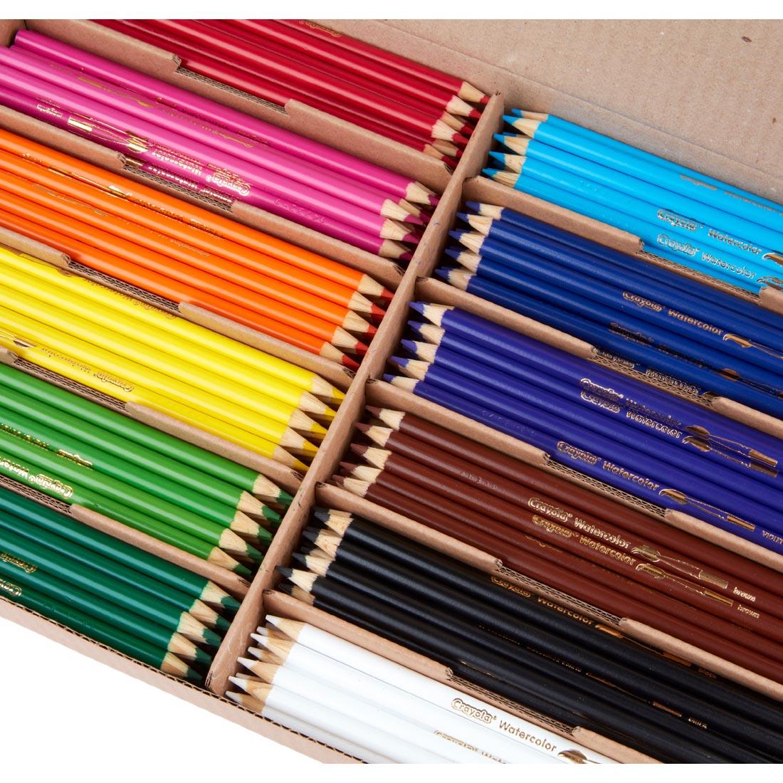 Close up of Crayola Watercolor Pencils Classpack, showing 12 colors in divided storage compartments