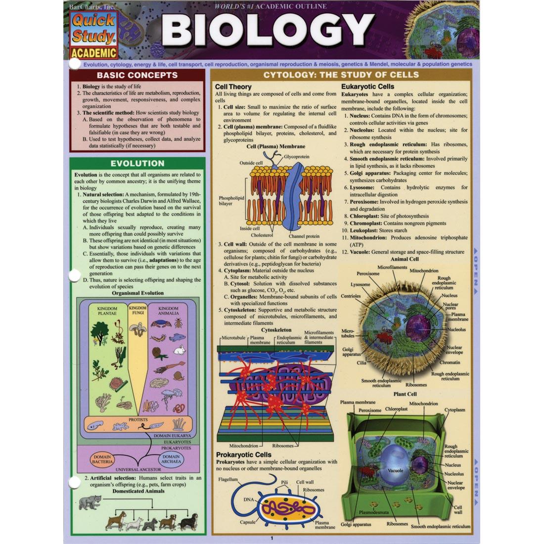 Biology Study Guide