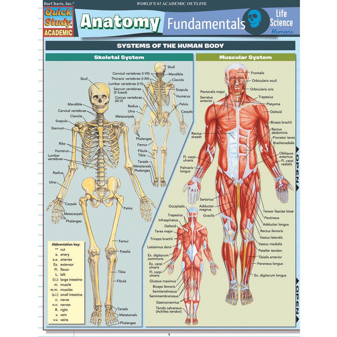 Anatomy - Life Science Study Guide