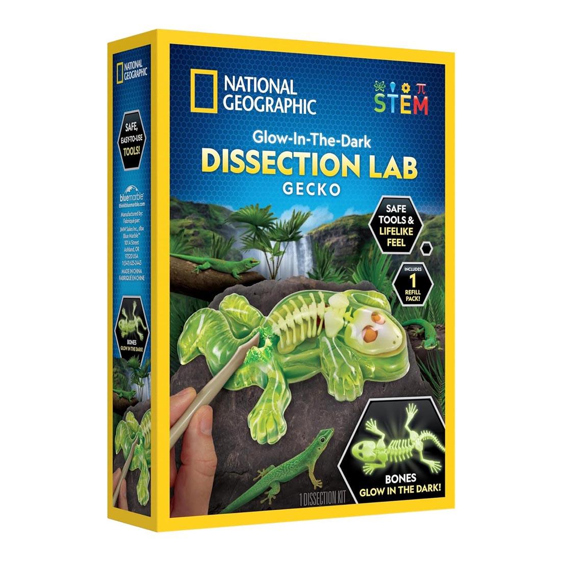 package for Glow-In-The-Dark Gecko Dissection Lab by National Geographic