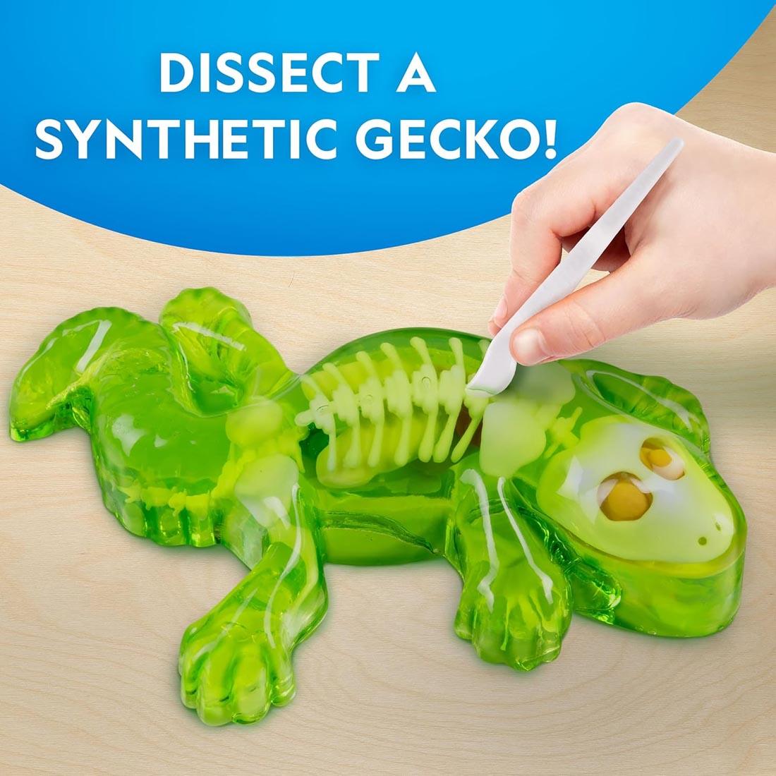 a hand using a tool on a Glow-In-The-Dark Gecko from the Dissection Lab by National Geographic plus text Dissect a Synthetic Gecko!