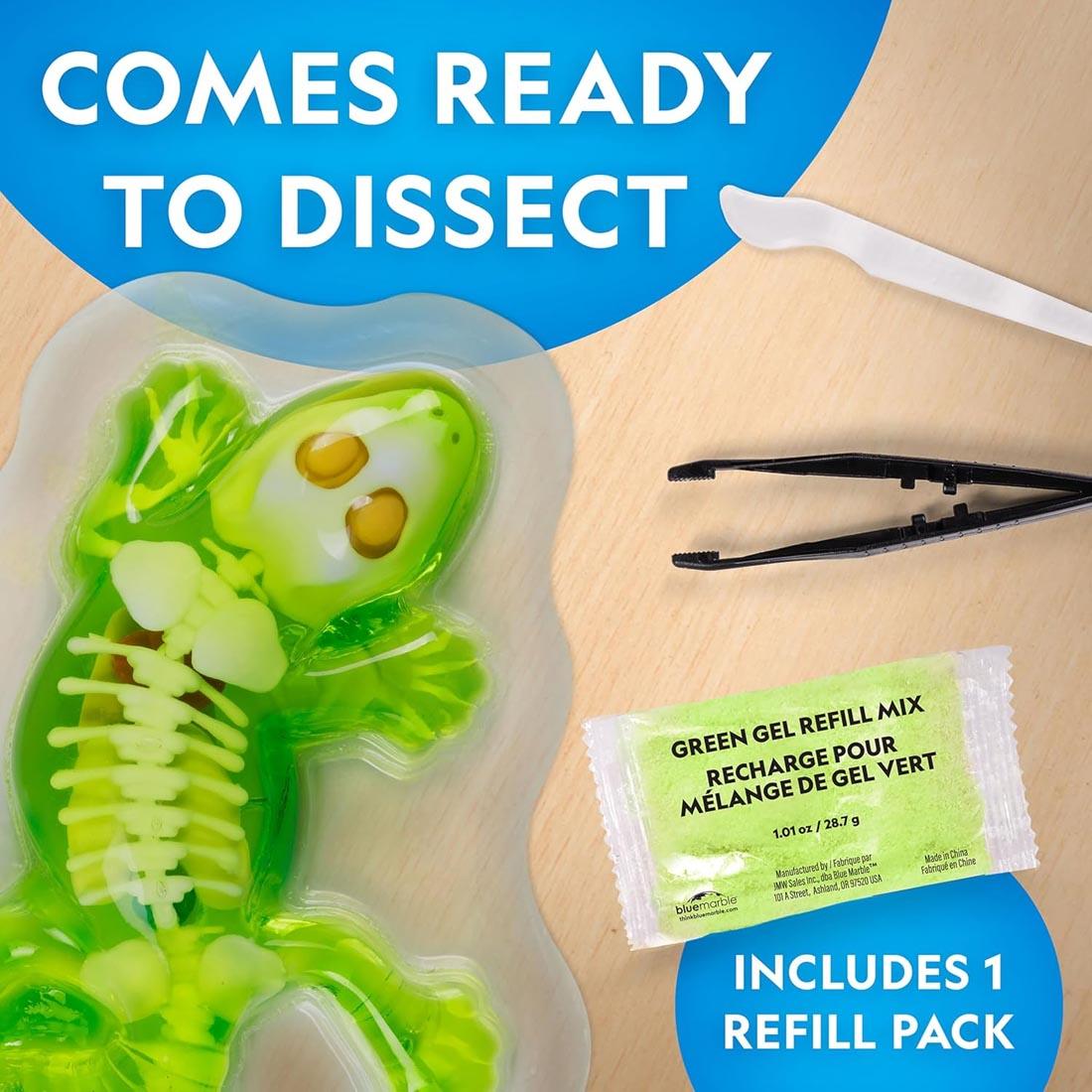 contents of the Glow-In-The-Dark Gecko Dissection Lab by National Geographic plus text Comes Ready to Dissect and Includes 1 Refill Pack