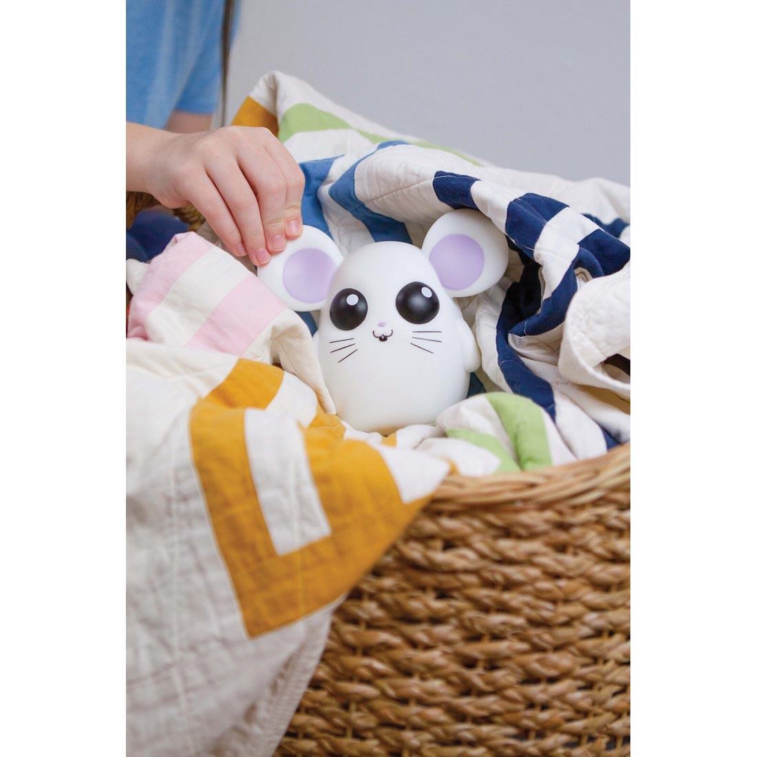 Where's Squeaky? toy shown hiding in a basket of blankets