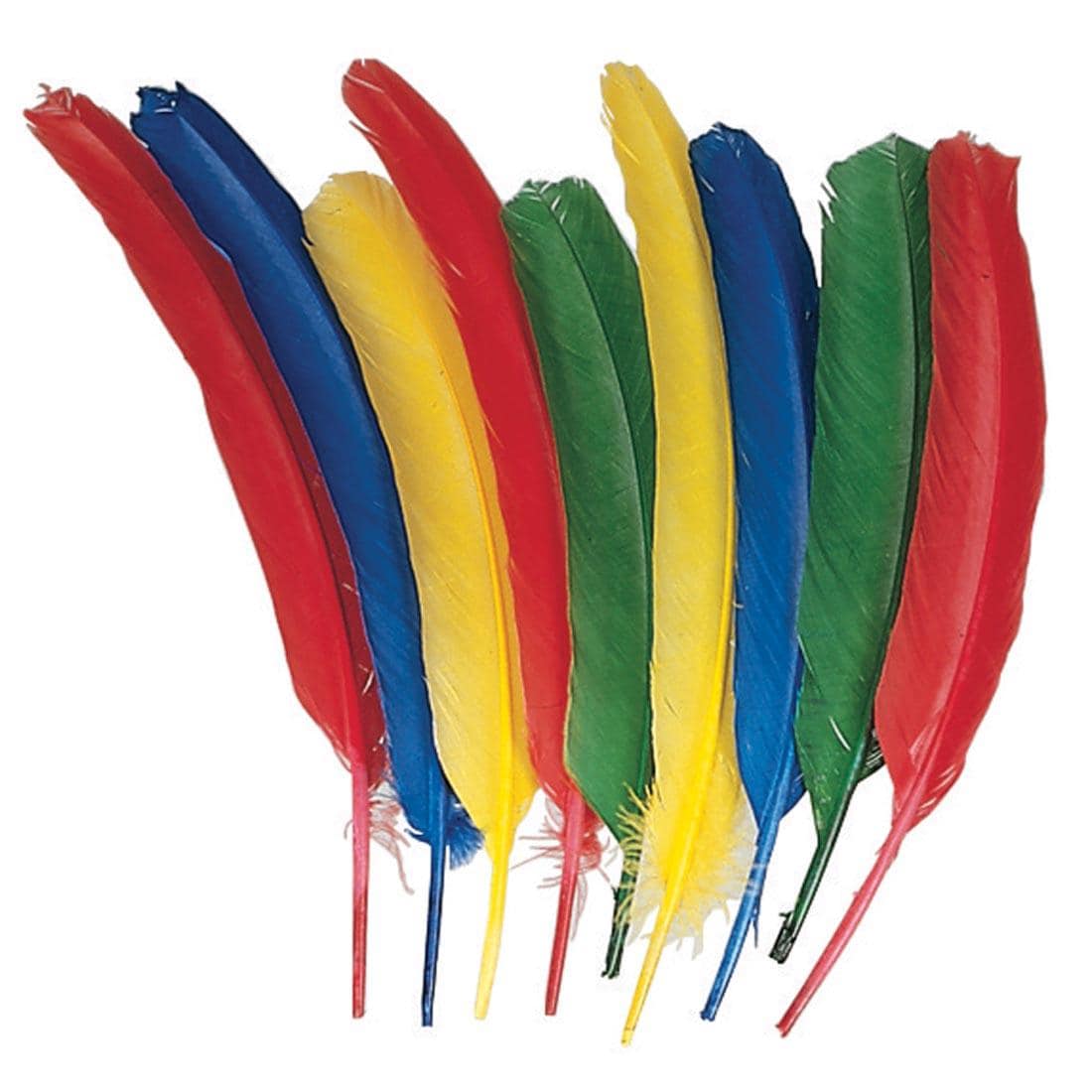 Creativity Street 12" long Quill Feathers in assorted colors