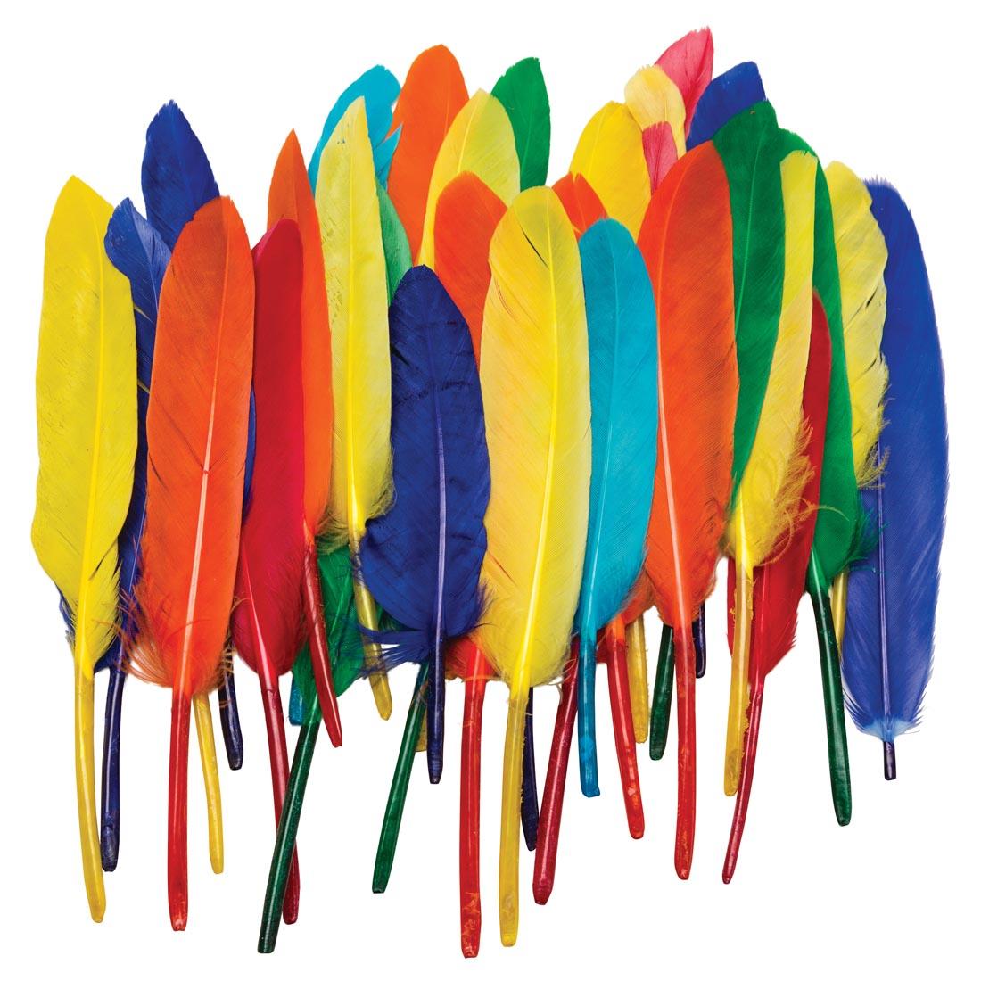 Creativity Street Small Duck Quills in assorted colors