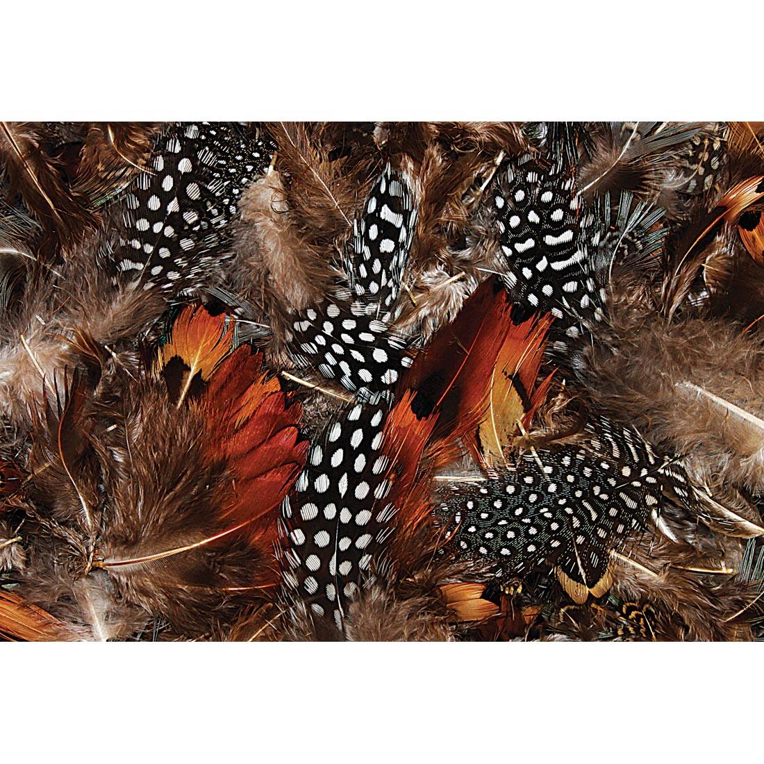 Creativity Street Natural Feathers in assorted earth tones