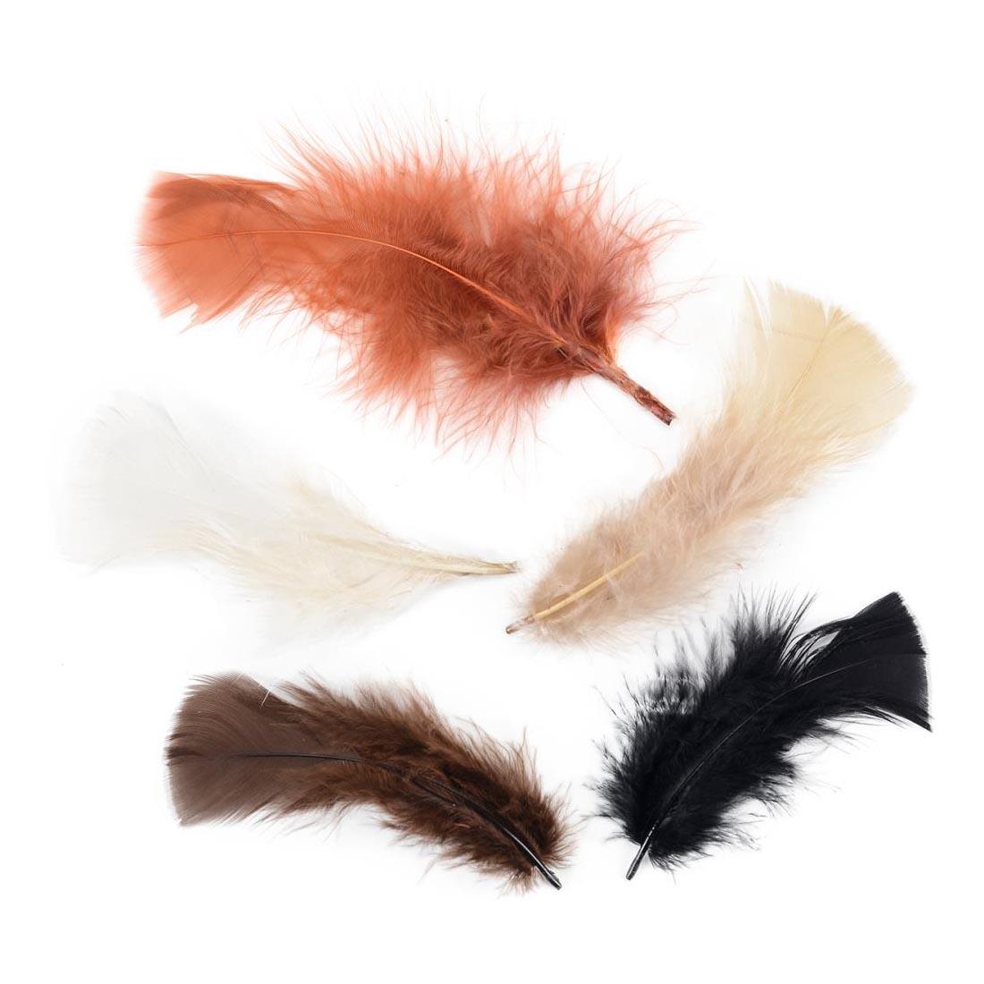 5 feathers from the Zucker Turkey Plumage Earth Tone Feather Mix