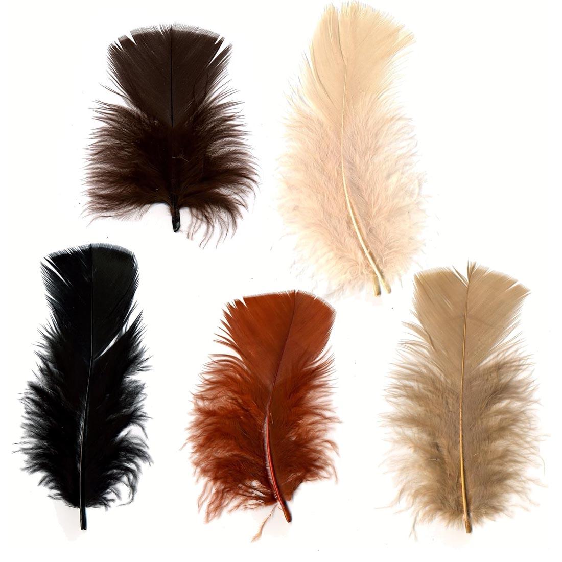 5 feathers from the Zucker Turkey Plumage Earth Tone Feather Mix