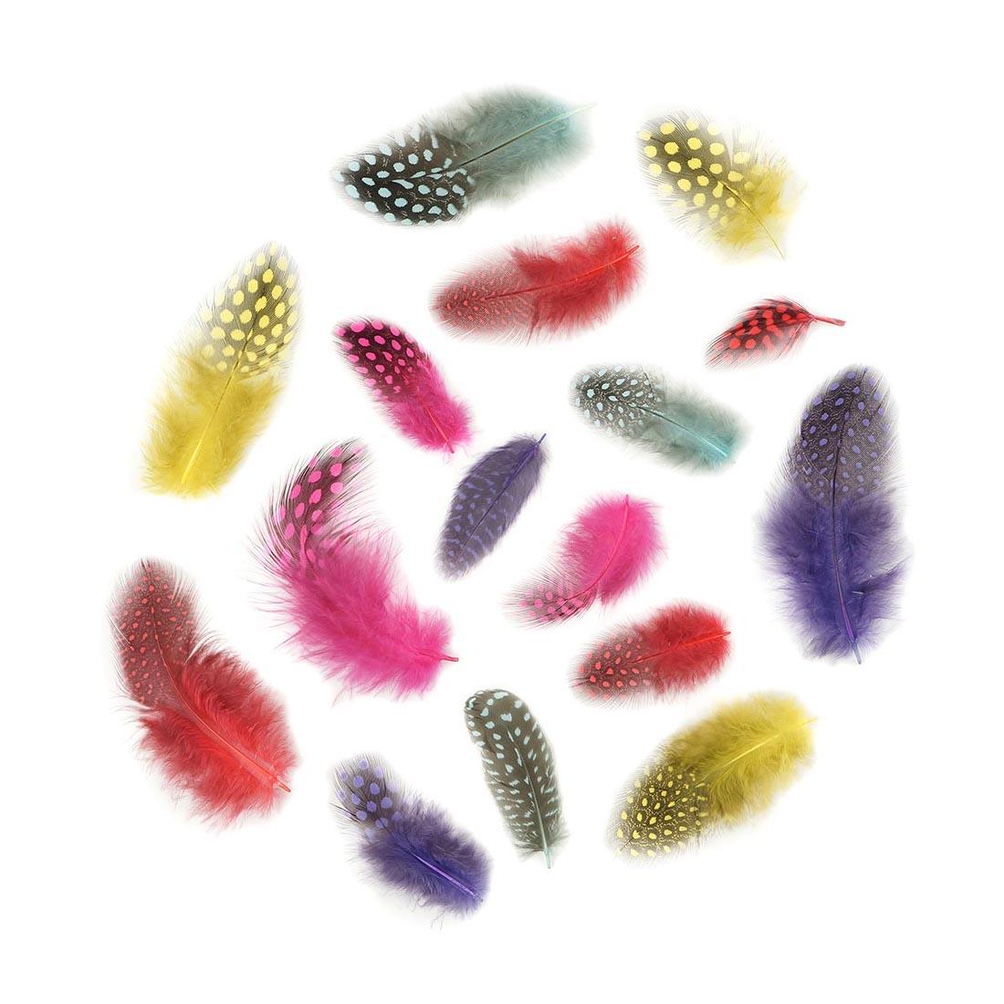 16 feathers from the Zucker Guinea Plumage Vibrant Feather Mix