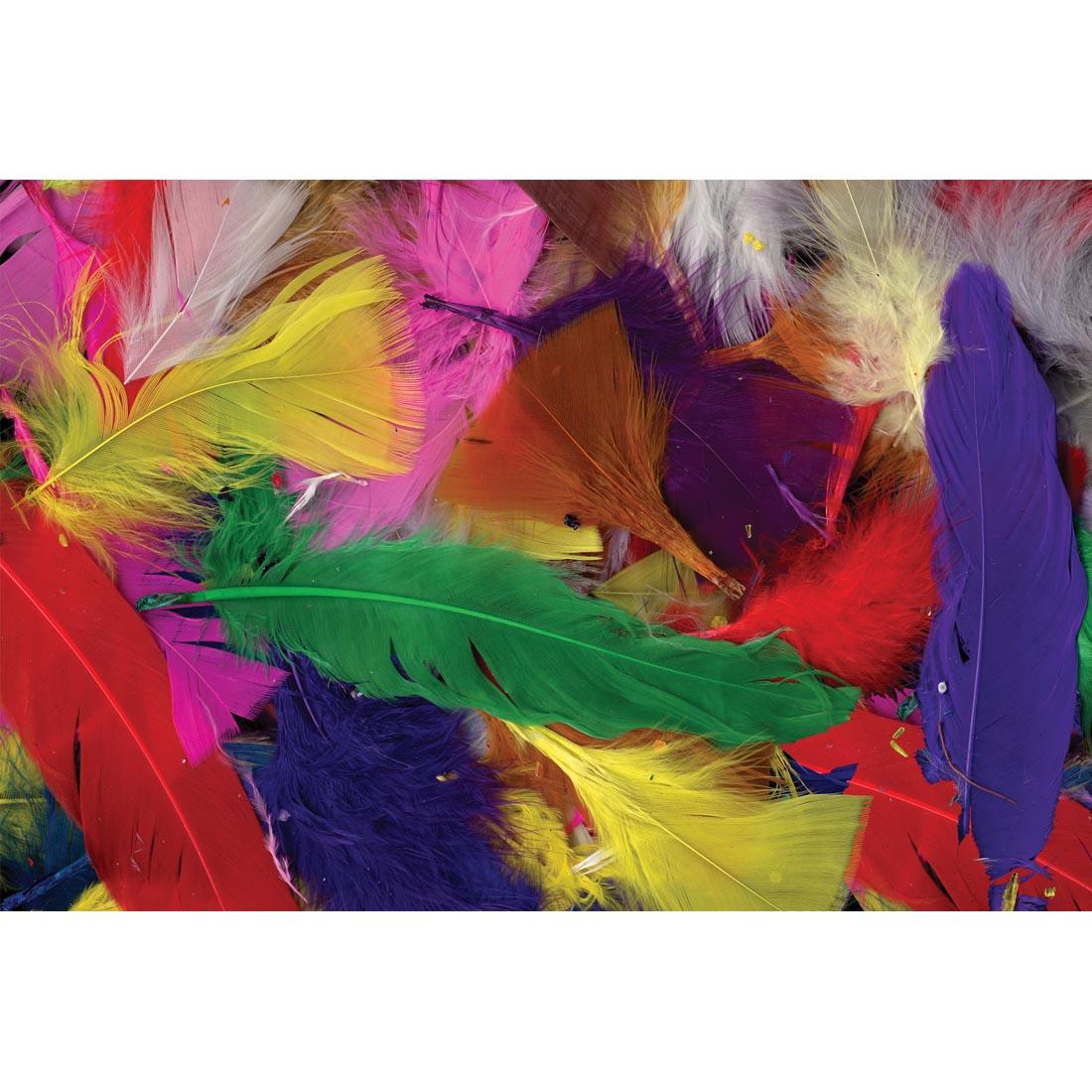 Colorful Marabou Feathers