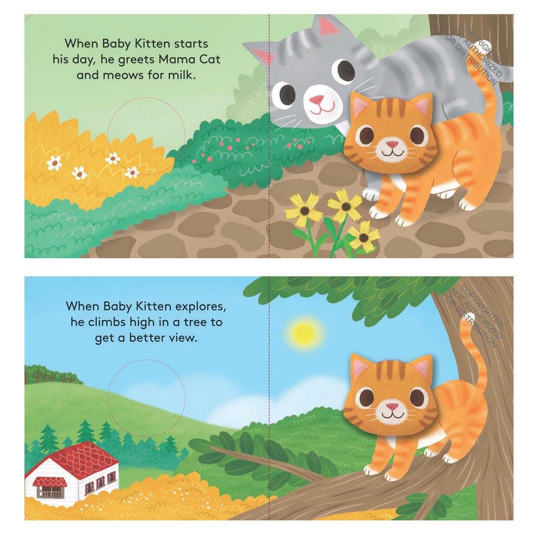 pages from Baby Kitten Finger Puppet Book