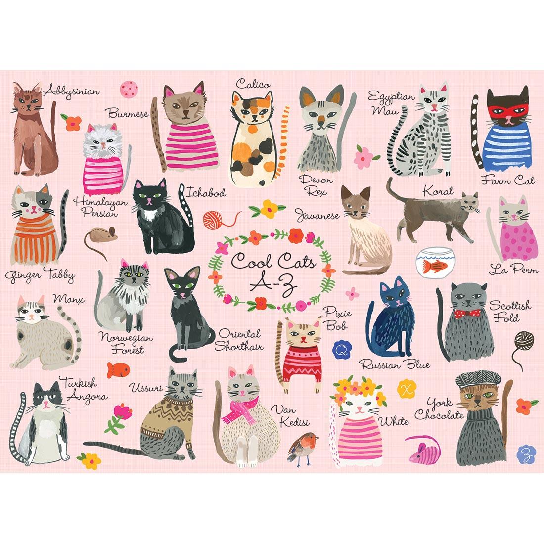 Cool Cats Puzzle with Names from A to Z