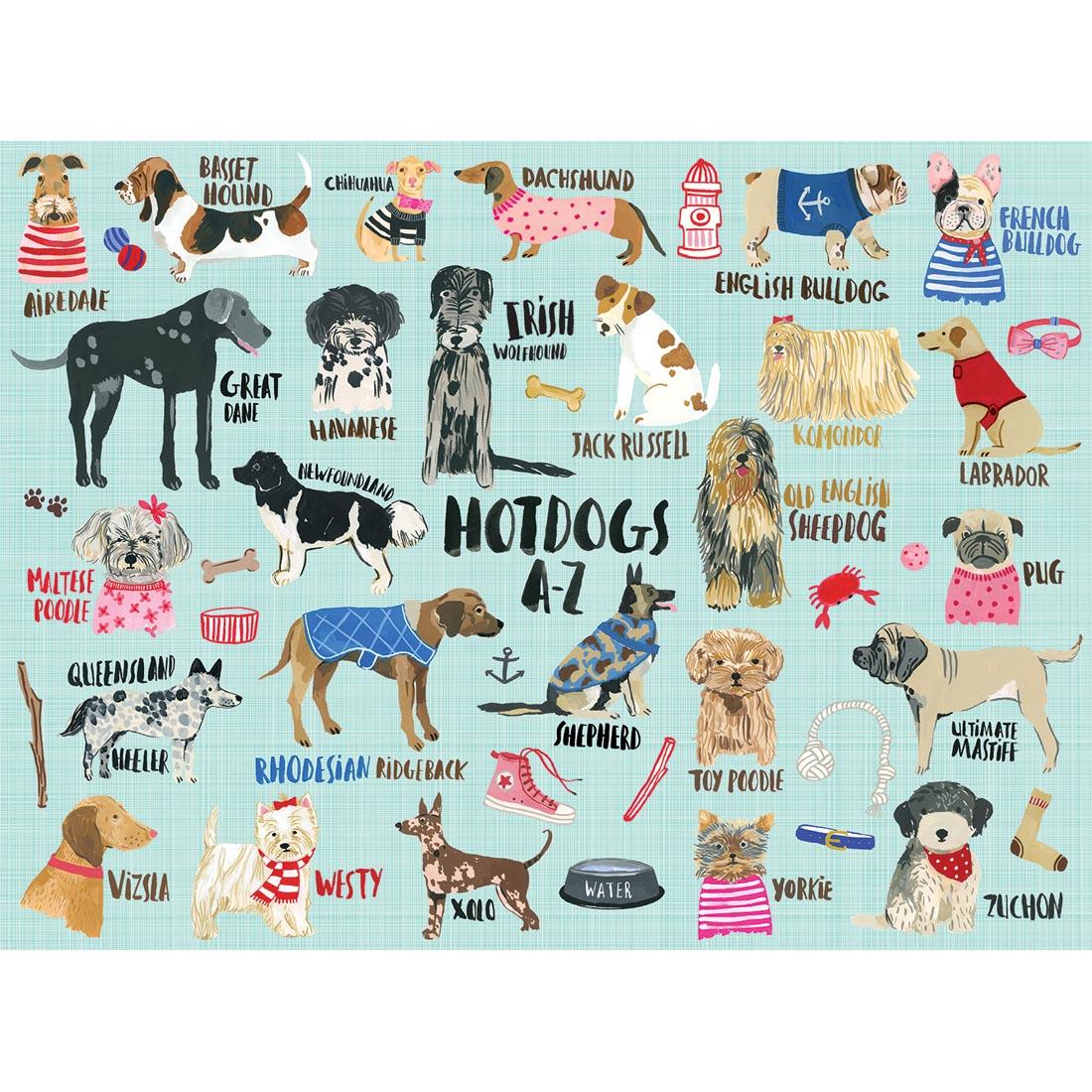 Hot Dogs Puzzle with Names from A to Z