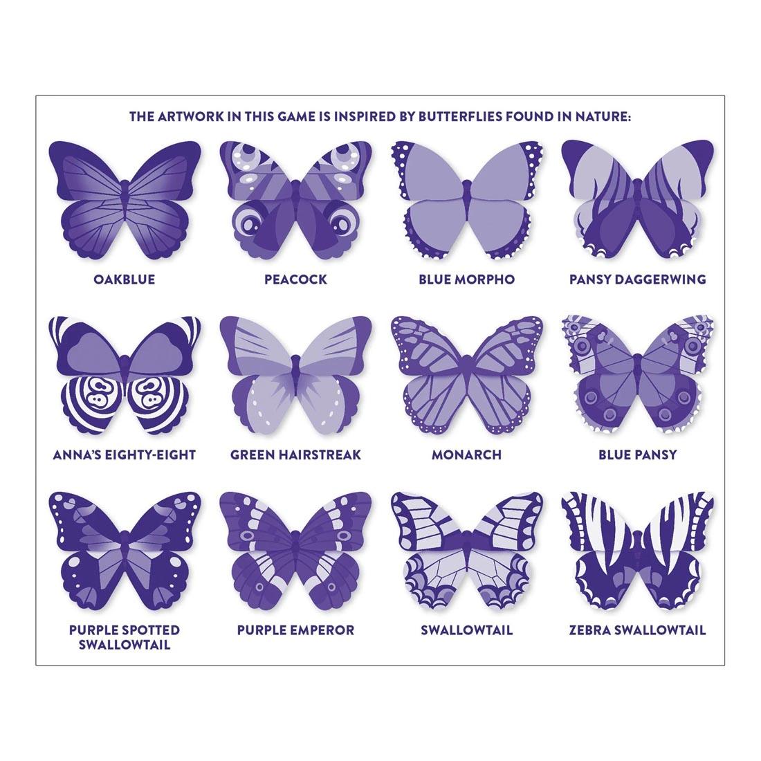 List of Butterflies used in the Butterflies Shaped Memory Matching Game