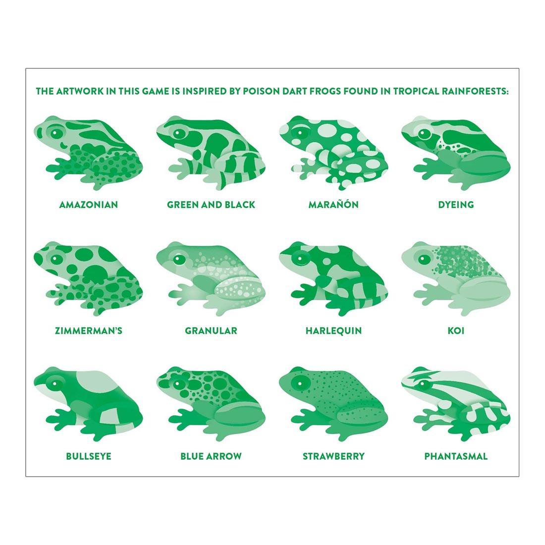 List of Tropical Rainforest Frogs used in the Tropical Frogs Shaped Memory Matching Game