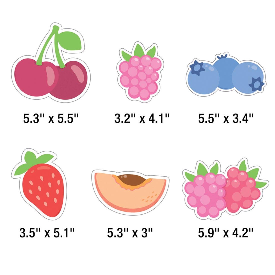 6 pieces from Learning Is Our Jam Bulletin Board Set from the Farmers Market collection By Carson Dellosa each labeled with their measurements