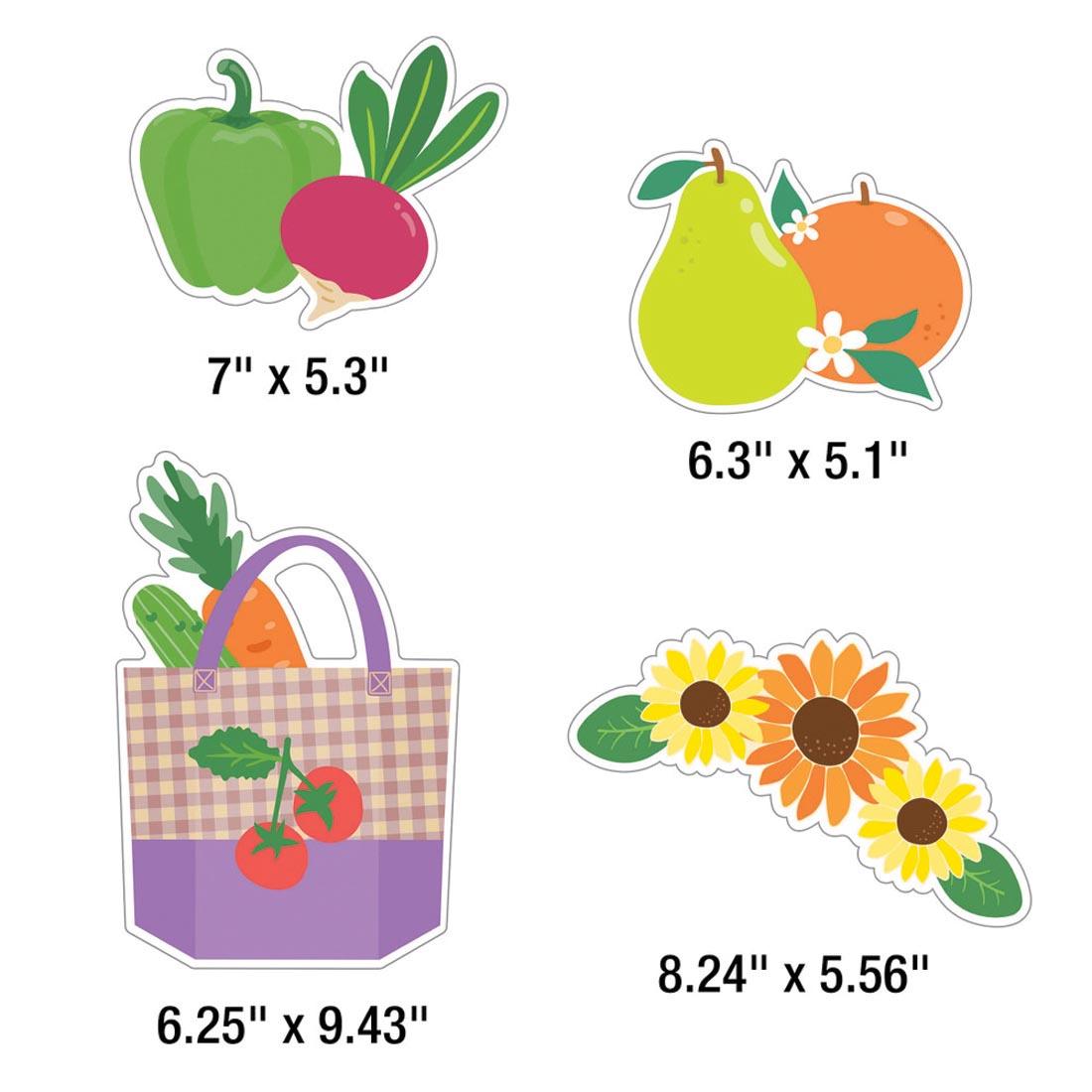 4 pieces from Freshly Picked Friends Bulletin Board Set from the Farmers Market collection By Carson Dellosa each labeled with their measurements