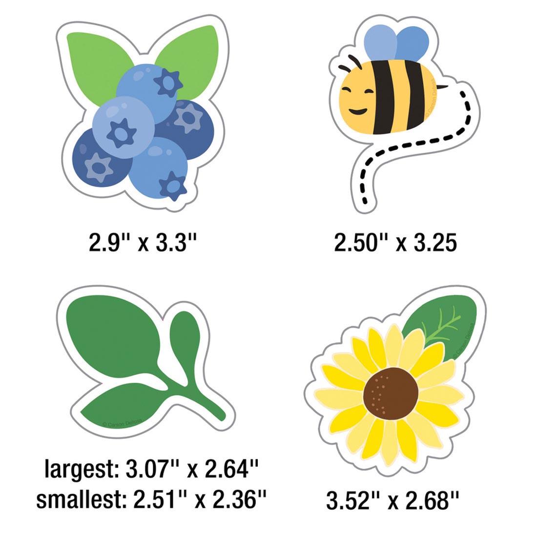 4 pieces from Freshly Picked Friends Bulletin Board Set from the Farmers Market collection By Carson Dellosa each labeled with their measurements