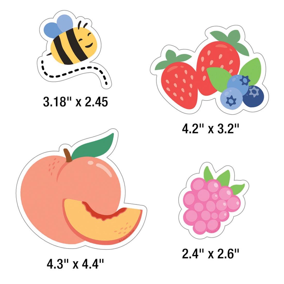 4 pieces from Our Berry Best Work Bulletin Board Set from the Farmers Market collection By Carson Dellosa each labeled with their measurements