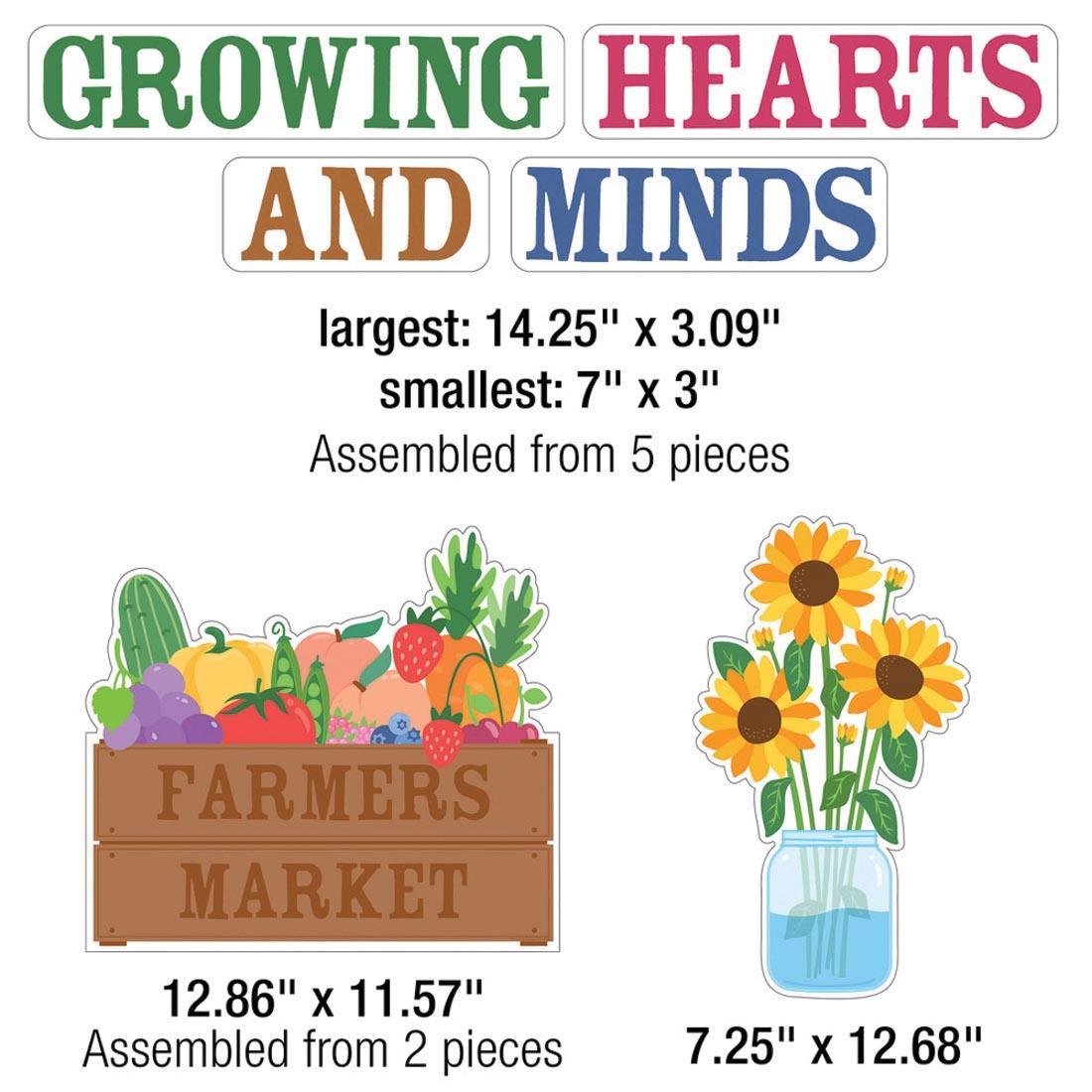 separate components of the Growing Hearts Growing Minds Bulletin Board Set from the Farmers Market collection By Carson Dellosa plus text about their measurements