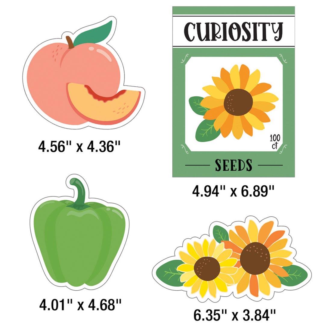 4 pieces from Growing Hearts Growing Minds Bulletin Board Set from the Farmers Market collection By Carson Dellosa each labeled with their measurements