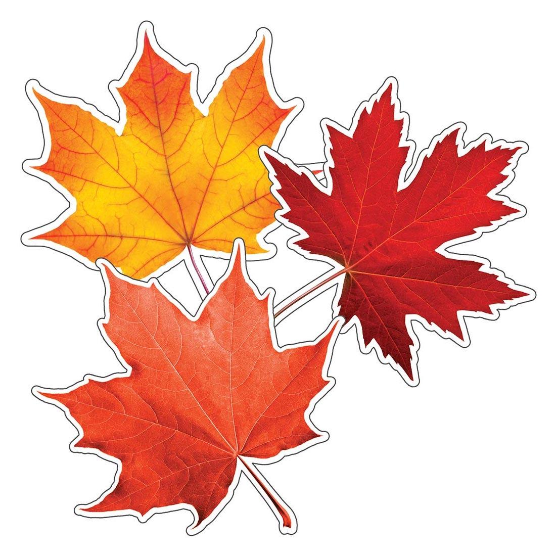 Fall Leaves Colorful Cut-Outs from the Woodland Whimsy collection by Carson Dellosa