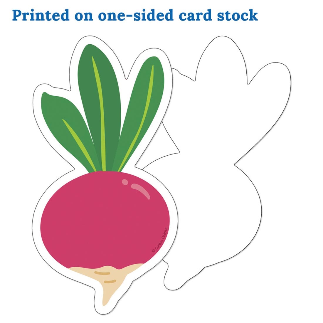 front and back of a turnip from the Fruits and Veggies Cut-Outs Farmers Market collection By Carson Dellosa next to a playing card plus text Printed on one-sided card stock