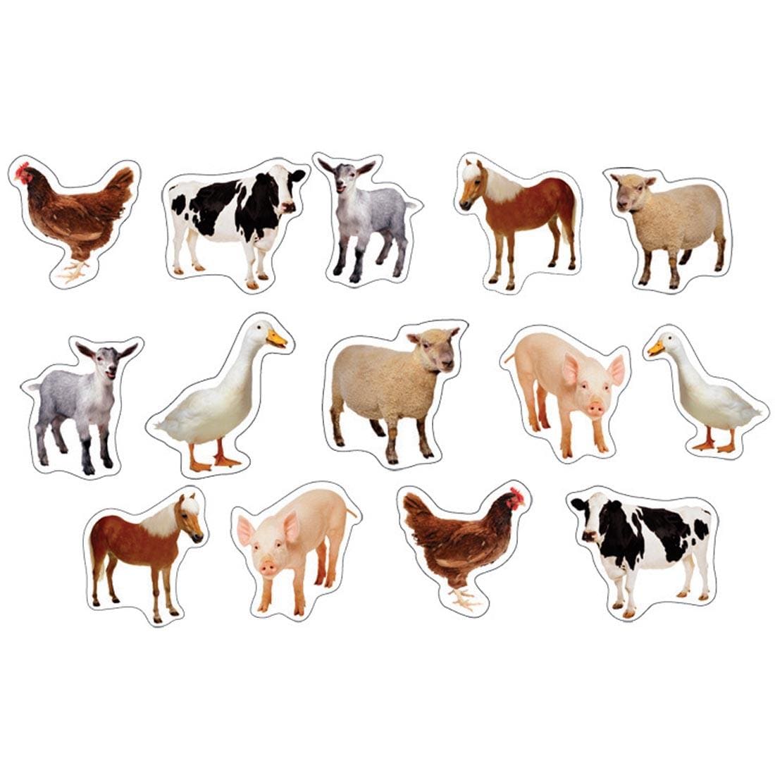 Farm Animals Photographic Stickers by Carson Dellosa