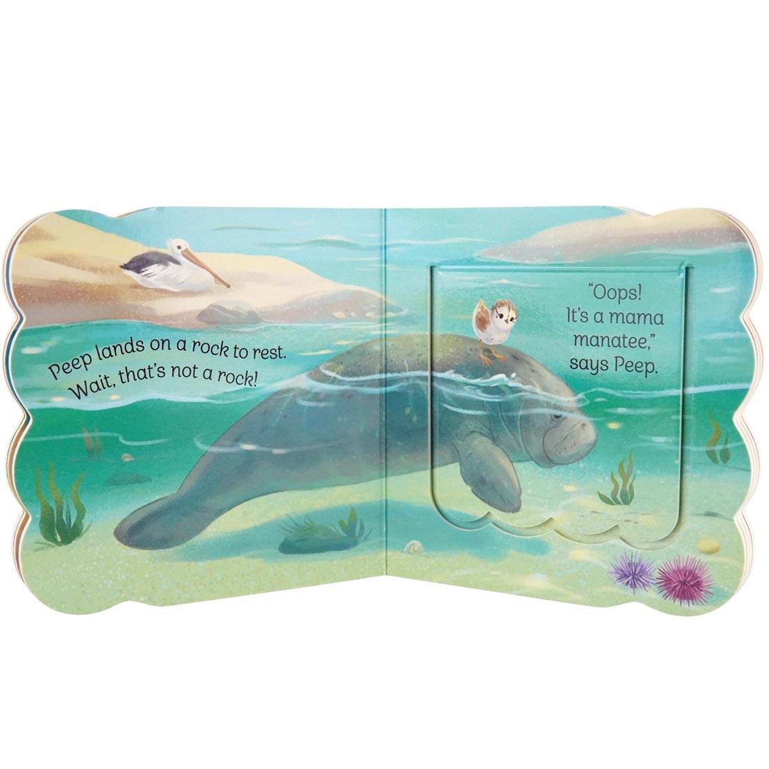 pages from Babies On The Beach First Lift-A-Flap Book