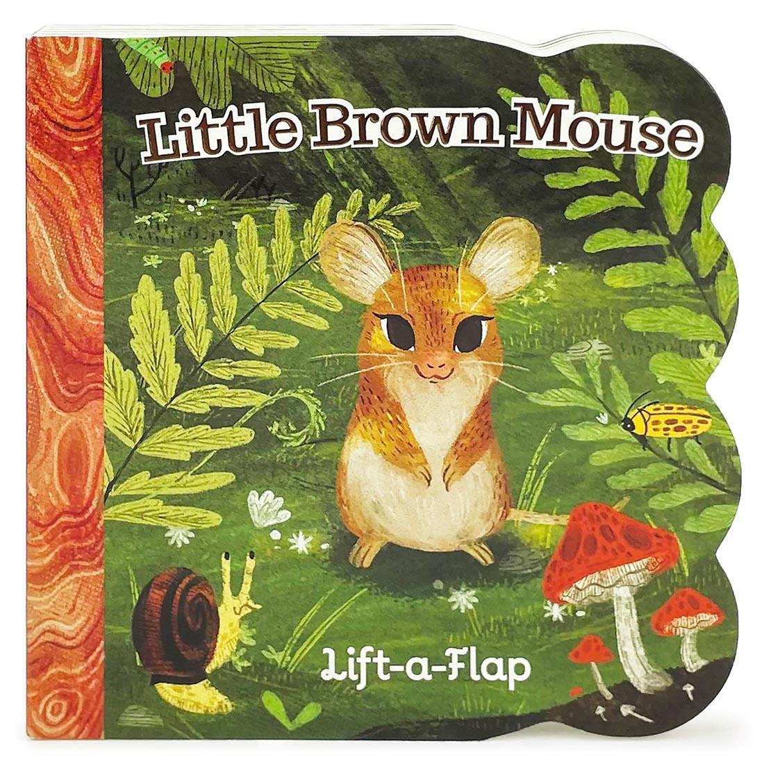 front cover of Little Brown Mouse Lift-A-Flap Book