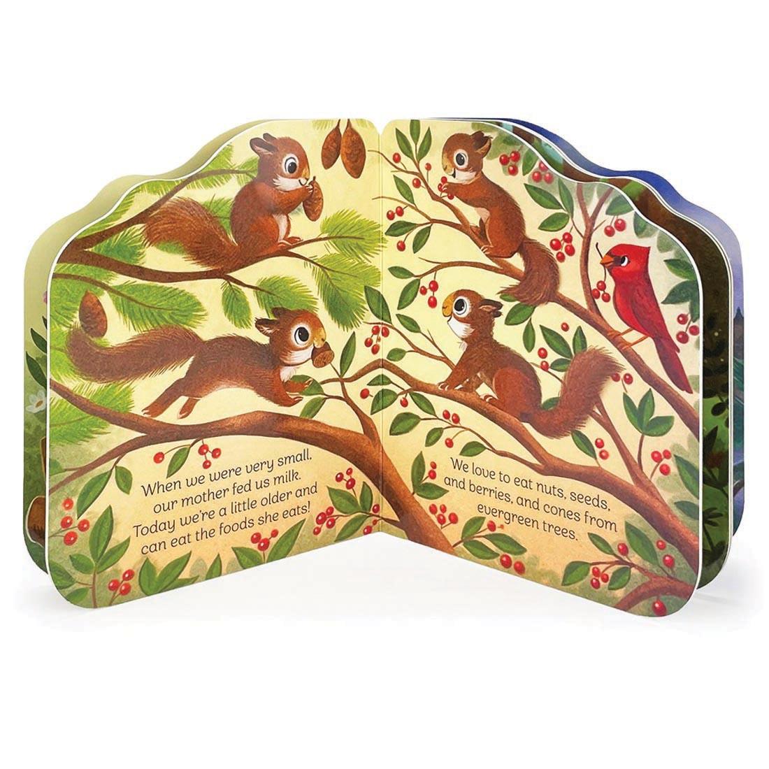 A Little Squirrel Shaped Board Book standing open