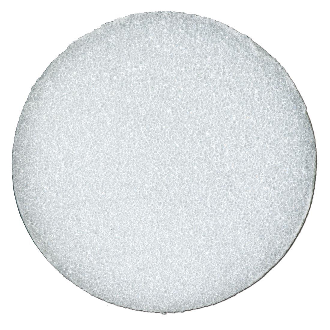 White Styrofoam Disc