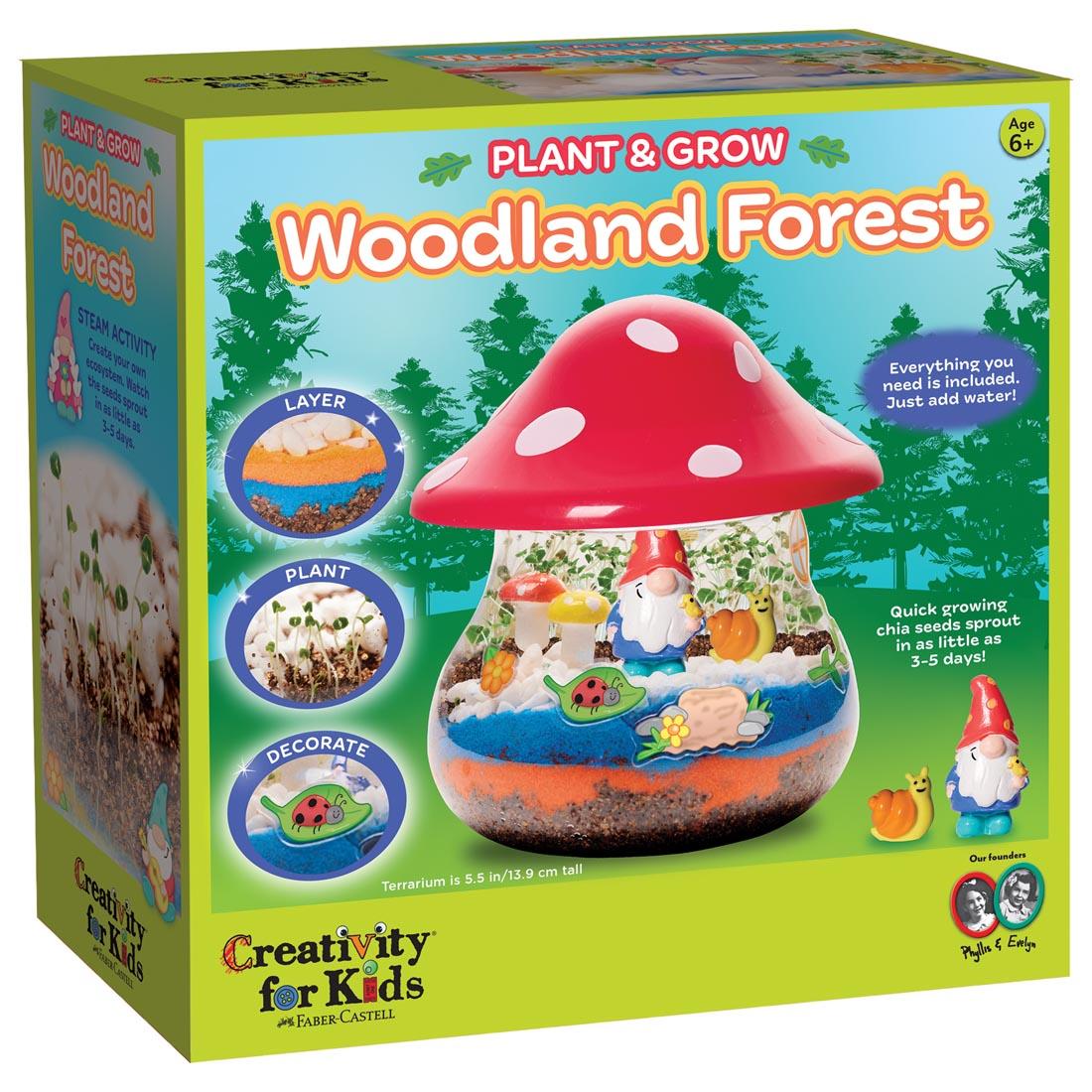 box for Plant & Grow Woodland Forest Terrarium By Creativity For Kids