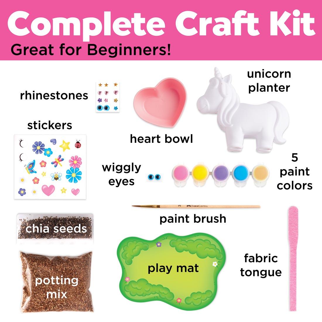 inforgraph for Self-Watering Unicorn Plant Pet with text Complete Craft Kit Great for Beginners!