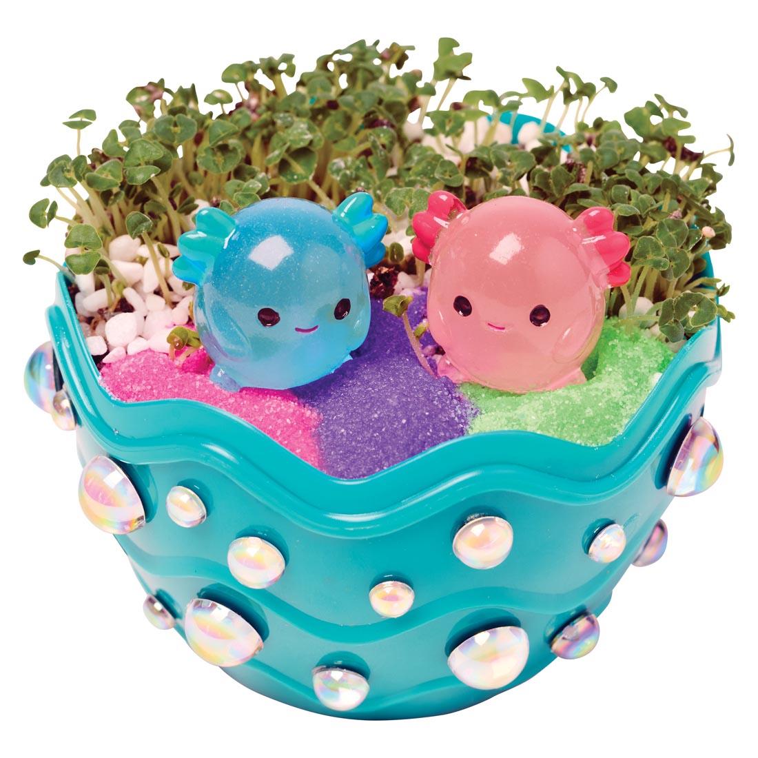 example of a completed Axolotl Mini Garden By Creativity For Kids
