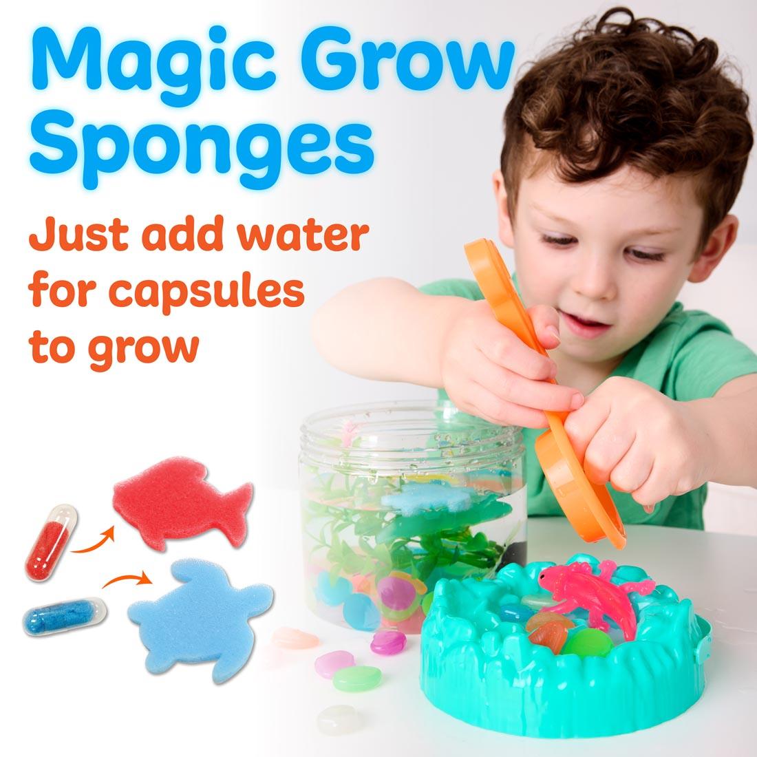 Boy playing with Axolotls Sensory Adventure Water Play set, with the words: Magic Grow Sponges; Just add water for capsules to grow