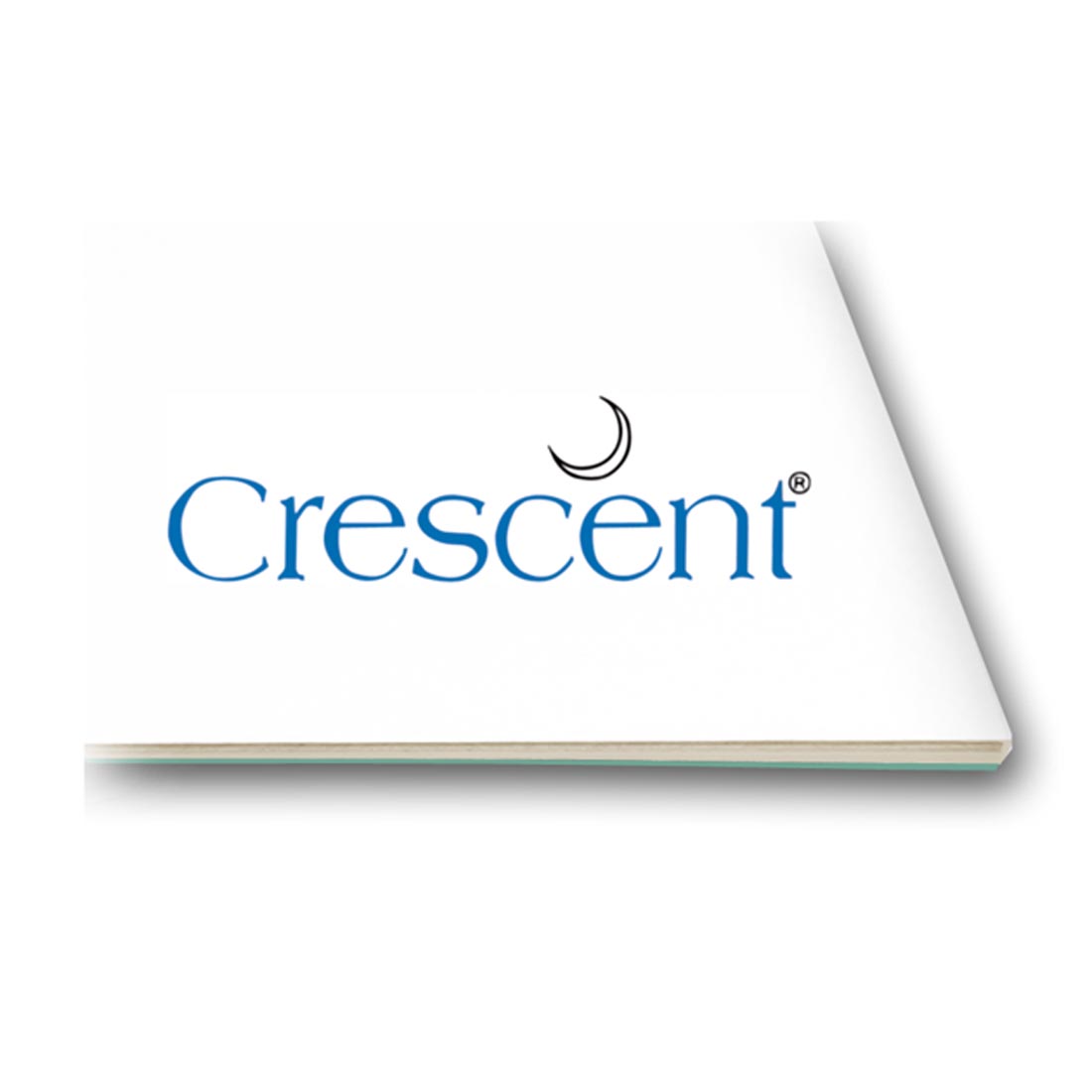 Crescent #300 Illustration Board