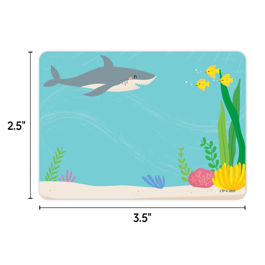 Label from the Sea Friends collection by Creative Teaching Press labeled with measurements 2.5" and 3.5"
