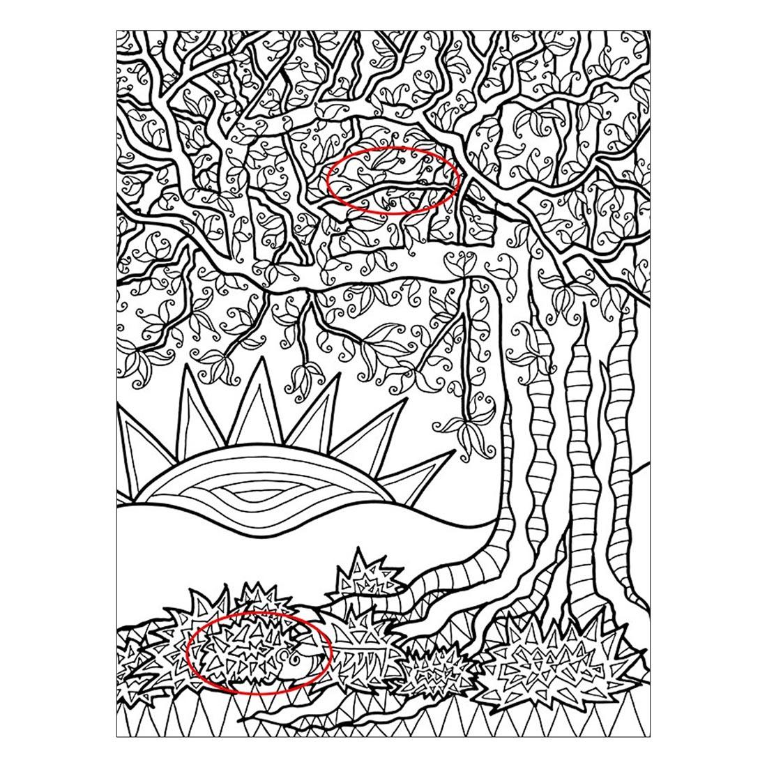 page from Into The Woods: A Creative Haven Coloring Book With A Hidden Twist by Dover with 2 hidden images circled