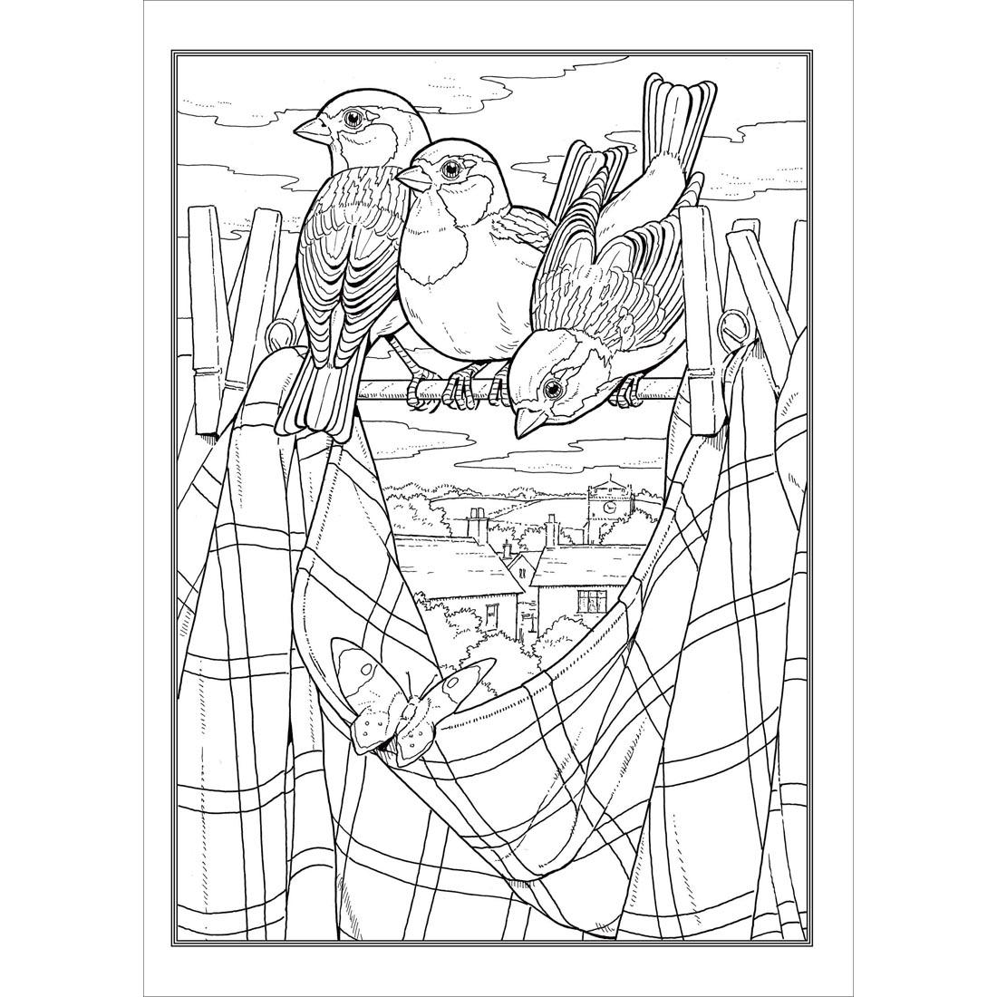 Sample page from Dover Creative Haven Glorious Songbirds Coloring Book
