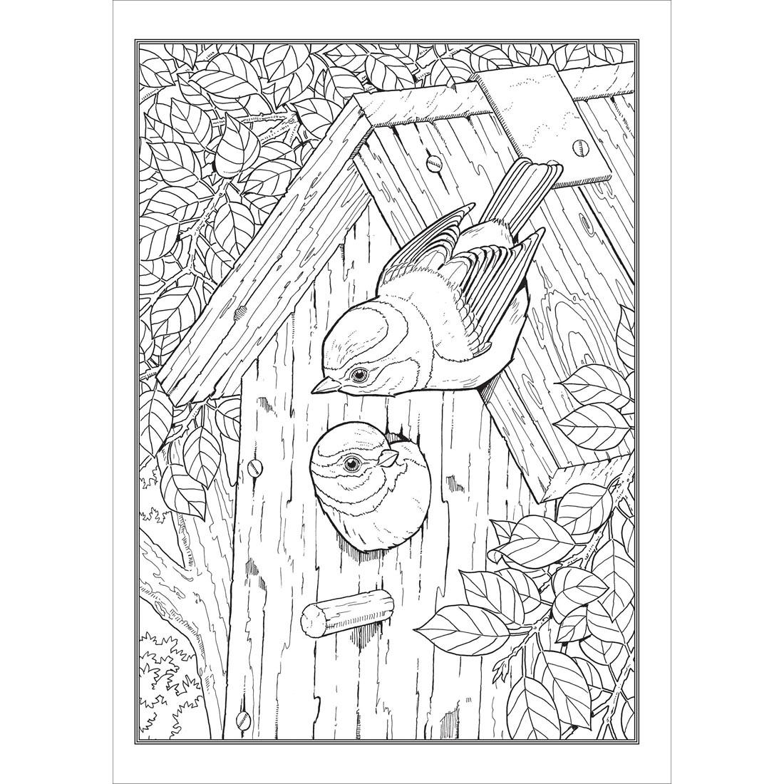 Sample page from Dover Creative Haven Glorious Songbirds Coloring Book