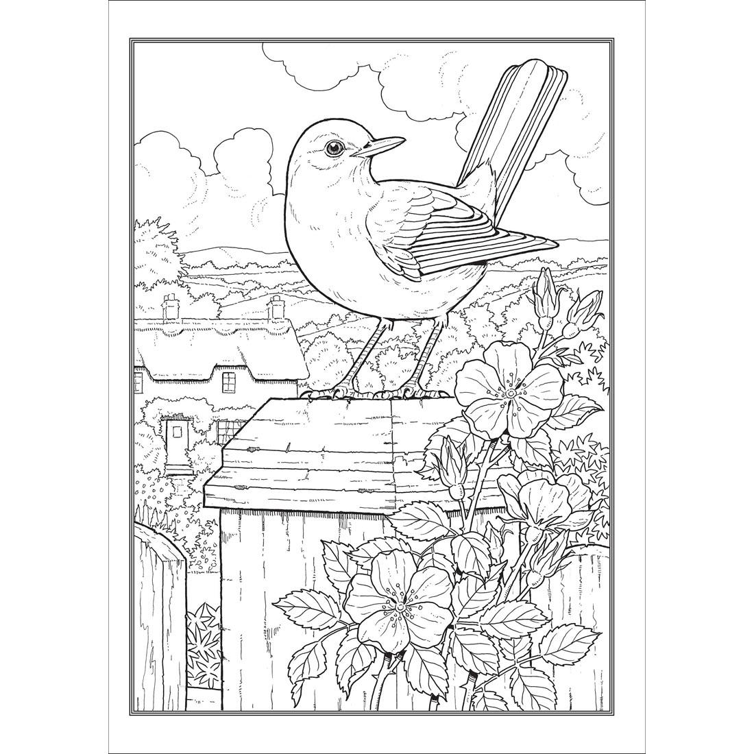 Sample page from Dover Creative Haven Glorious Songbirds Coloring Book