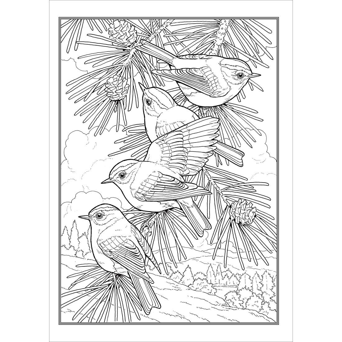 Sample page from Dover Creative Haven Glorious Songbirds Coloring Book