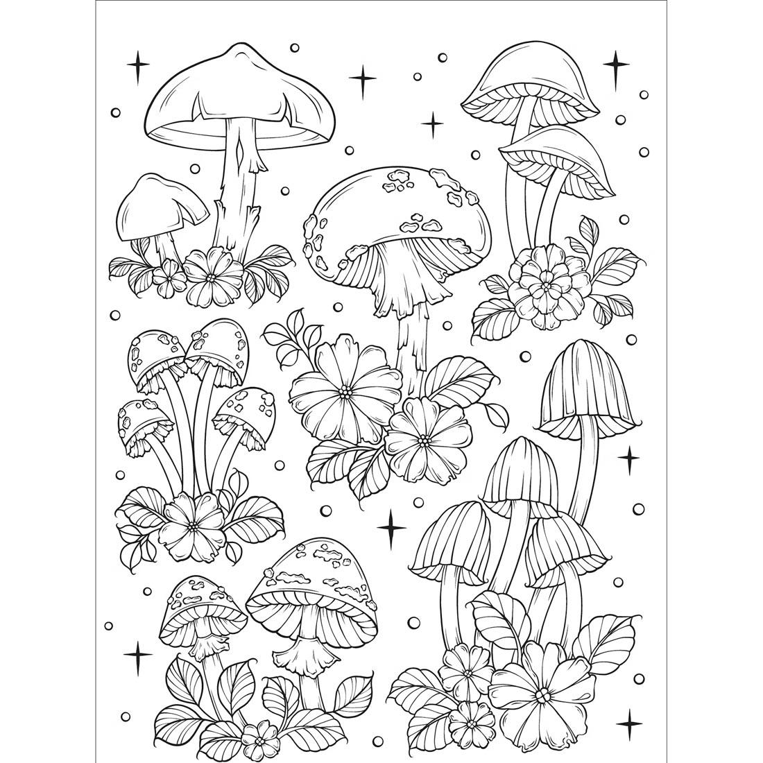 page from The Art Of Mushrooms Creative Haven Coloring Book by Dover
