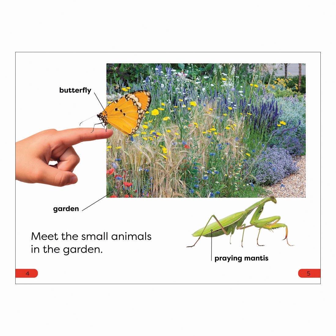 2 pages from Garden Friends DK Super Readers Pre-Level Book