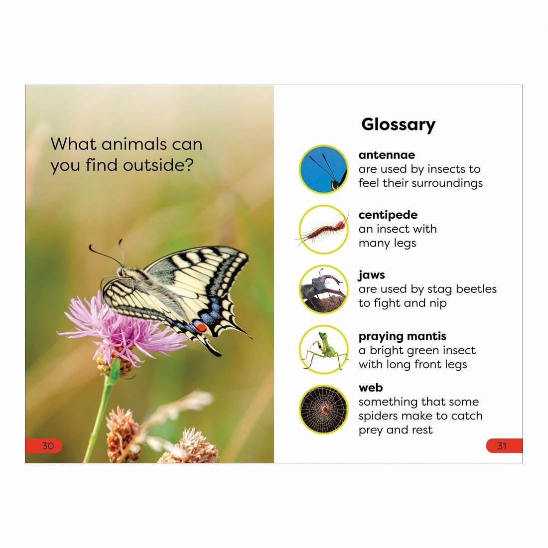 2 pages from Garden Friends DK Super Readers Pre-Level Book